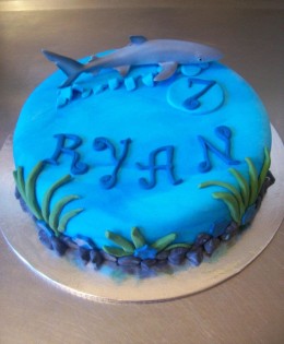 Shark Cake $259