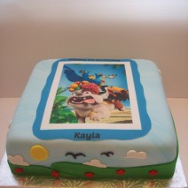 Edible Image Rio Cake $249 (12 inch)