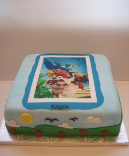 Edible Image Rio Cake $249 (12 inch)