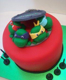 Mutant Ninja Turtles Cake $249