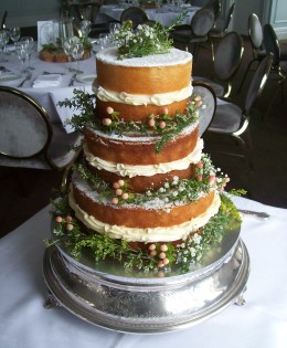 Naked Wedding Cake $449  (1 layer filling per tier)