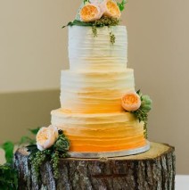 Ombre Wedding Cake $595 (100 pax)