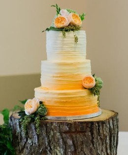 Ombre Wedding Cake $595 (100 pax)