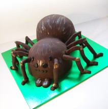 Tarantula Cake $299