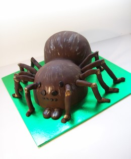 Tarantula Cake $299