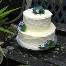 Succulents Wedding Cake $499