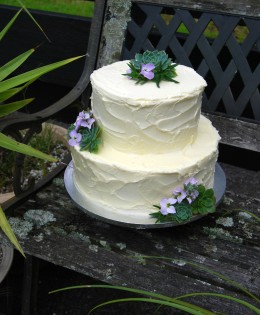 Succulents Wedding Cake $499