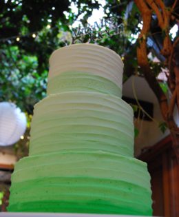 Ombre Wedding Cake $595