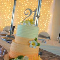 Ombre 21st Cake $399