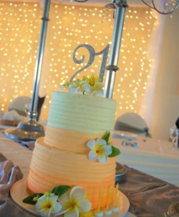 Ombre 21st Cake $399