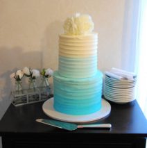 Ombre Cake 4 layer $395