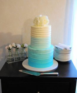 Ombre Cake 4 layer $395