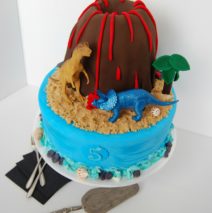 Volcano Cake $395