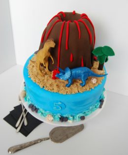 Volcano Cake $395