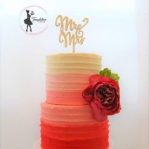 Vegan Wedding Cake Ombre $349