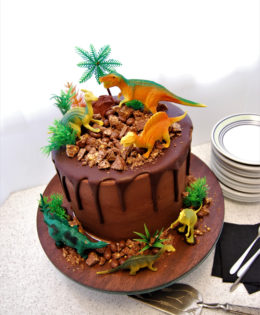 Dinosaur Cake $195