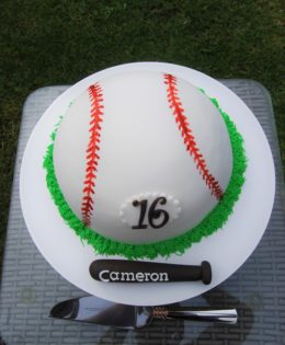 Baseball Cake $249