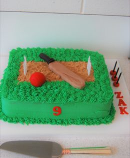 Cricket Cake $220