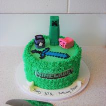 Minecraft Cake $249