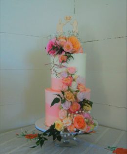 Ombre Wedding Cake $550 (all included)